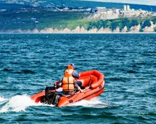 Product picture MERCURY MARINER 30 HP 40HP 4 CYLINDER ENGINE FACTORY REPAIR 